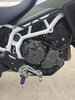 2020 Triumph TIGER 900 RALLY Green