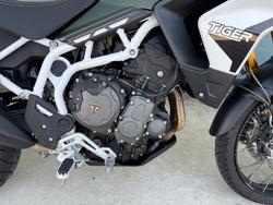 2020 Triumph TIGER 900 RALLY Green