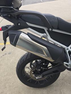 2020 Triumph TIGER 900 RALLY Green