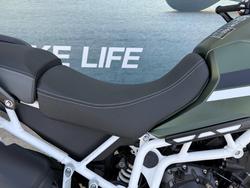 2020 Triumph TIGER 900 RALLY Green