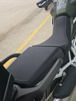 2020 Triumph TIGER 900 RALLY Green