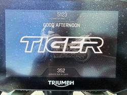 2020 Triumph TIGER 900 RALLY Green