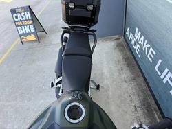 2020 Triumph TIGER 900 RALLY Green