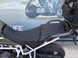 2020 Triumph TIGER 900 RALLY Green