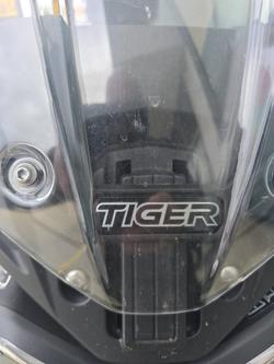2020 Triumph TIGER 900 RALLY Green