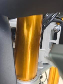 2020 Triumph TIGER 900 RALLY Green