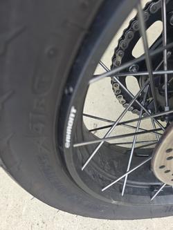 2020 Triumph TIGER 900 RALLY Green
