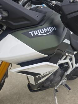 2020 Triumph TIGER 900 RALLY Green