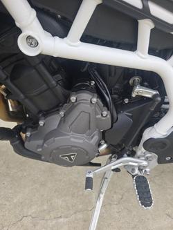 2020 Triumph TIGER 900 RALLY Green