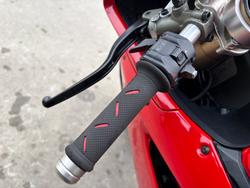 2015 DUCATI 1299 PANIGALE Red