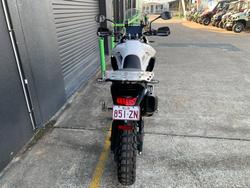 2023 Triumph TIGER 900 RALLY PRO WHITE