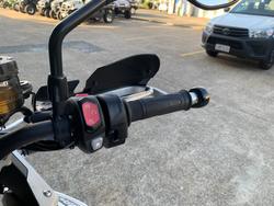 2023 Triumph TIGER 900 RALLY PRO WHITE