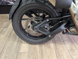 2023 Triumph TIGER 1200 GT EXPLORER WHITE