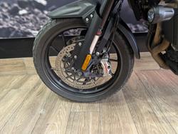 2023 Triumph TIGER 1200 GT EXPLORER WHITE