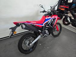 2023 Honda CRF300 RALLY Red