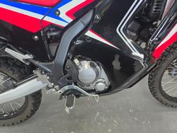 2023 Honda CRF300 RALLY Red