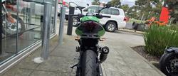 2025 Kawasaki Z500 (ER500) Z Green