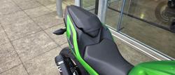 2025 Kawasaki Z500 (ER500) Z Green