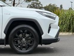2023 Toyota RAV4 Cruiser