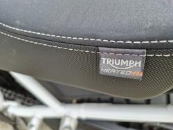 2021 Triumph TIGER 900 RALLY PRO PEARL SAND KHAKI