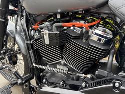 2022 HARLEY-DAVIDSON FXBRS BREAKOUT (114)