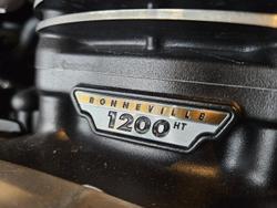 2024 Triumph Bonneville Speedmaster Speedmaster Red