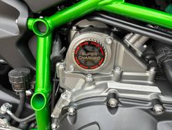 2025 Kawasaki NINJA H2 GREEN