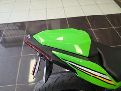 2025 Kawasaki NINJA 500 SE (LAMS) GREEN