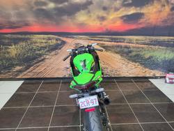 2025 Kawasaki NINJA 500 SE (LAMS) GREEN