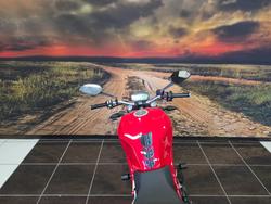 2019 Ducati MONSTER 659 (ABS) RED