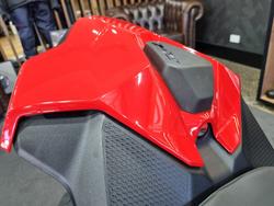 2024 BMW Motorrad S 1000 RR SPORT Red