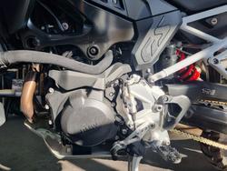 2026 BMW Motorrad F 900 GS ENDURO LT WHT/RACING BLU MET/RACE RED