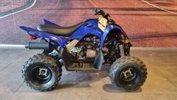 Yamaha Raptor 110 (YFM110R)