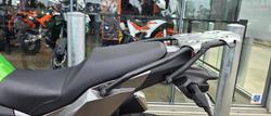 2017 Kawasaki Versys-X 300 (KLE300C) Versys Green