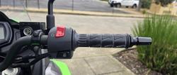 2017 Kawasaki Versys-X 300 (KLE300C) Versys Green