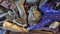 2025 Yamaha YZF-R7 LAMs YZF-R Blue