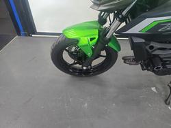 2025 Kawasaki Z500 Green