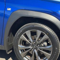 2021 Lexus UX 250h F Sport