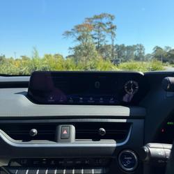2021 Lexus UX 250h F Sport