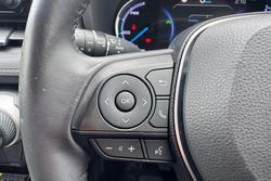 2020 Toyota RAV4 Cruiser