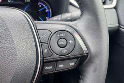 2020 Toyota RAV4 Cruiser