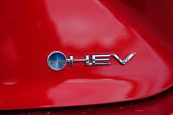 2025 Toyota Camry SL AXVH80R Jasper Red