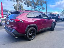 2020 Toyota RAV4 Cruiser