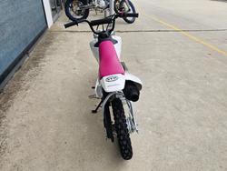 2026 Honda 2026 Honda 50CC CRF50F White