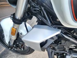 2024 HARLEY-DAVIDSON HD350-10 H-DX X350 SILVER