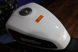 2024 HARLEY-DAVIDSON HD350-10 H-DX X350 White