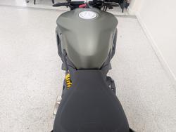 2024 DUCATI STREETFIGHTER V2 Green