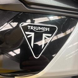2024 Triumph TIGER 900 GT Black