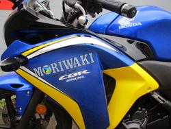 2013 Honda CBR250R BLUE