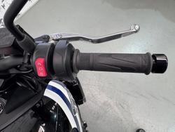 2025 Triumph Trident 660 Full Power Trident Blue